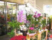 �{���X��